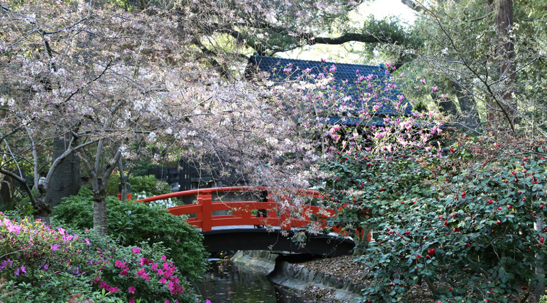 Japanese Garden © Descanso Gardens - Public Relations
