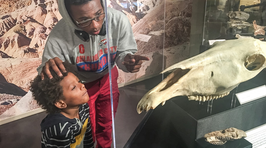 SOCAL MUSEUMS | San Bernardino County Museum